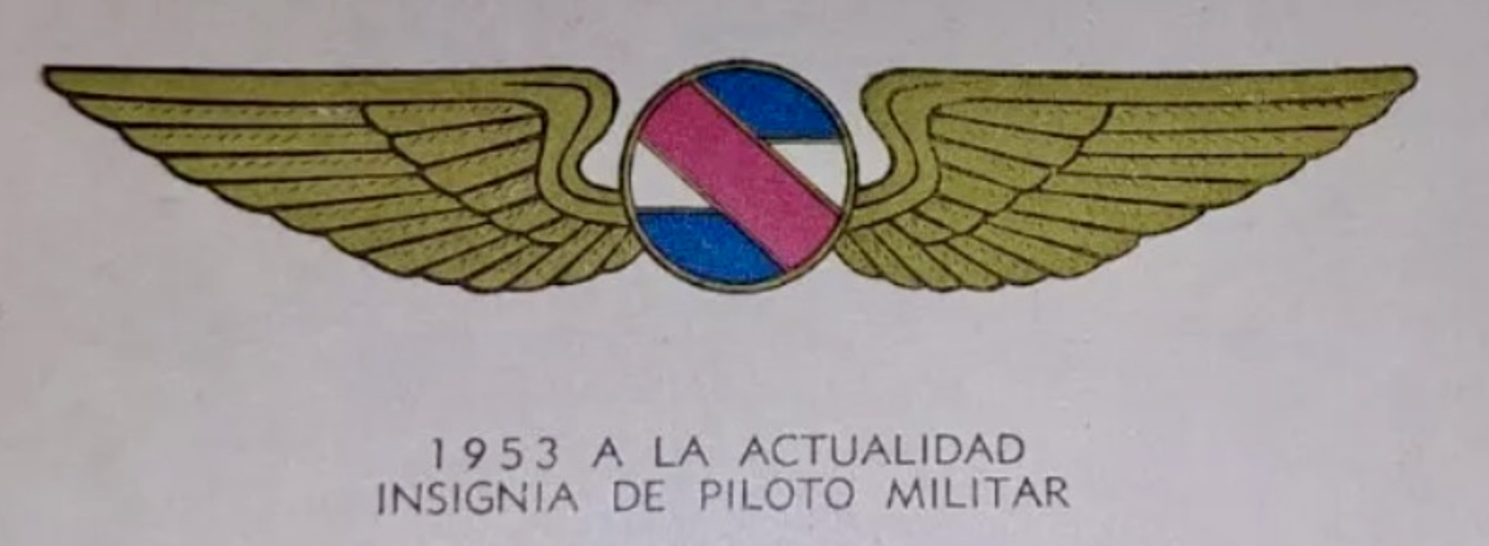Image of Air Force Pilot (Piloto Militar) wing