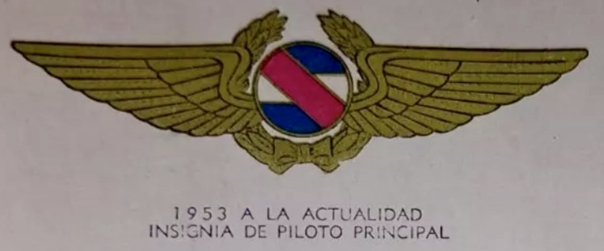 Image of Air Force Chief Pilot (Piloto Principal) wing