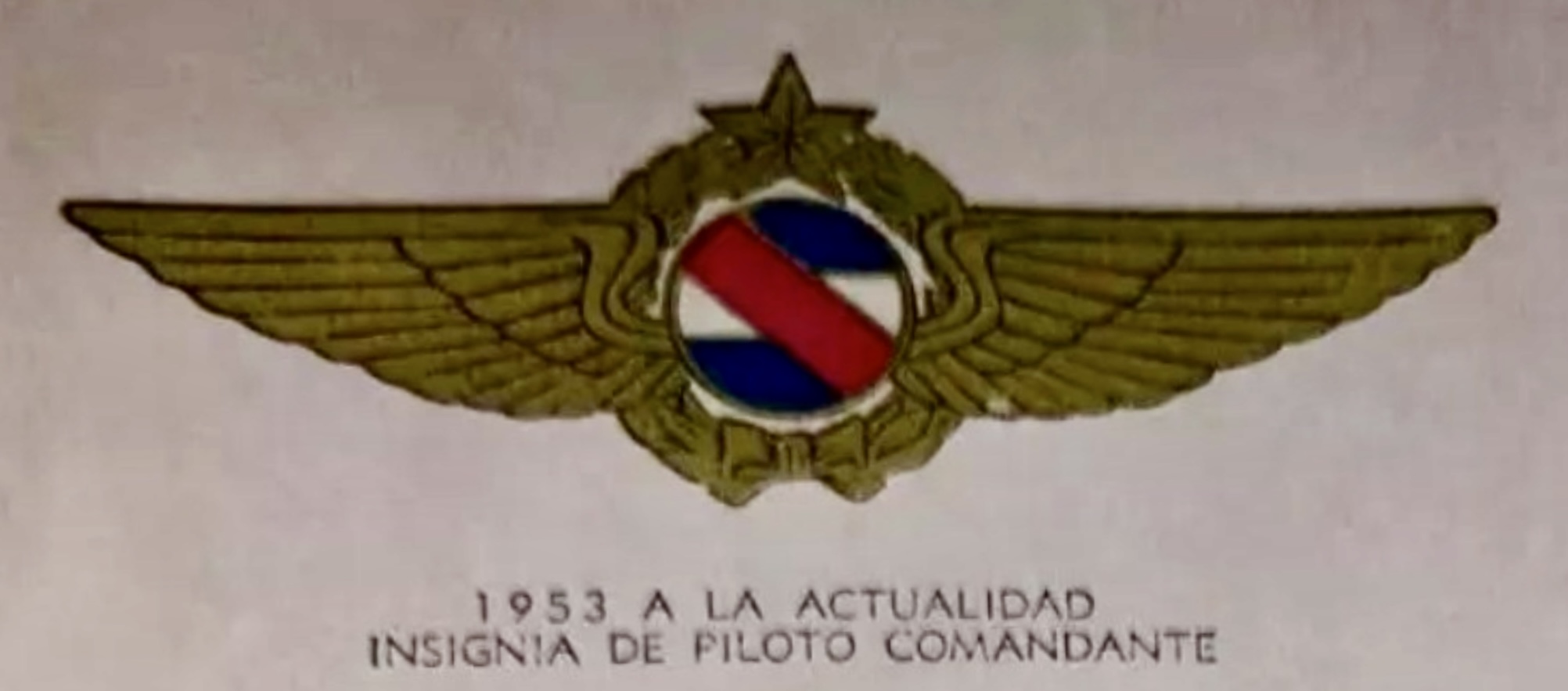 Image of Air Force Command Pilot (Piloto Comandante) wing