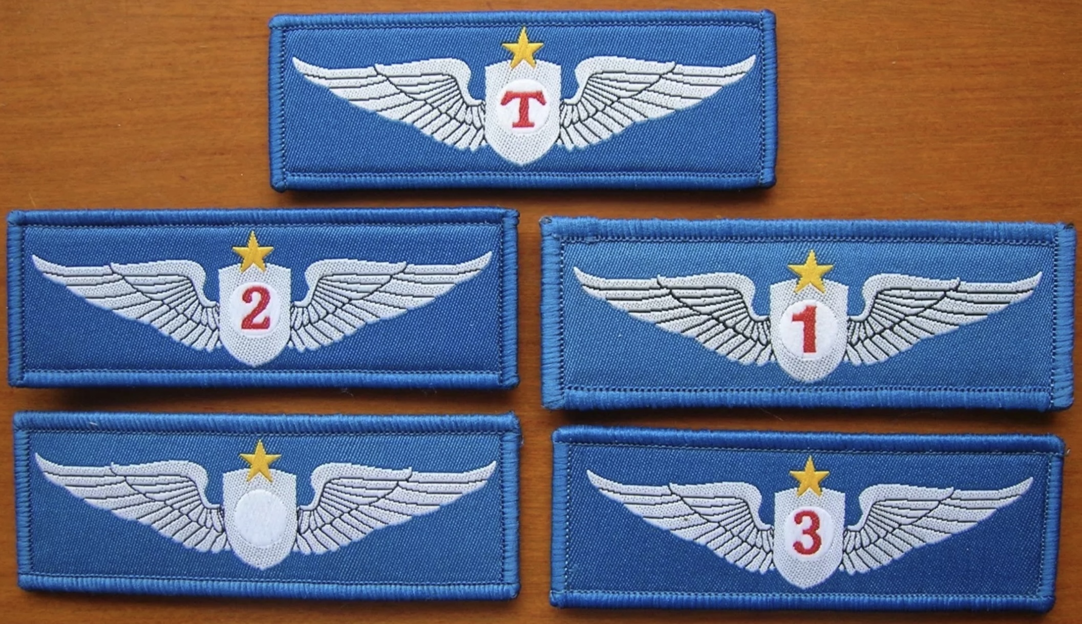 Image of People’s Liberation Army (PLA) Air Force Pilot Special Class wing