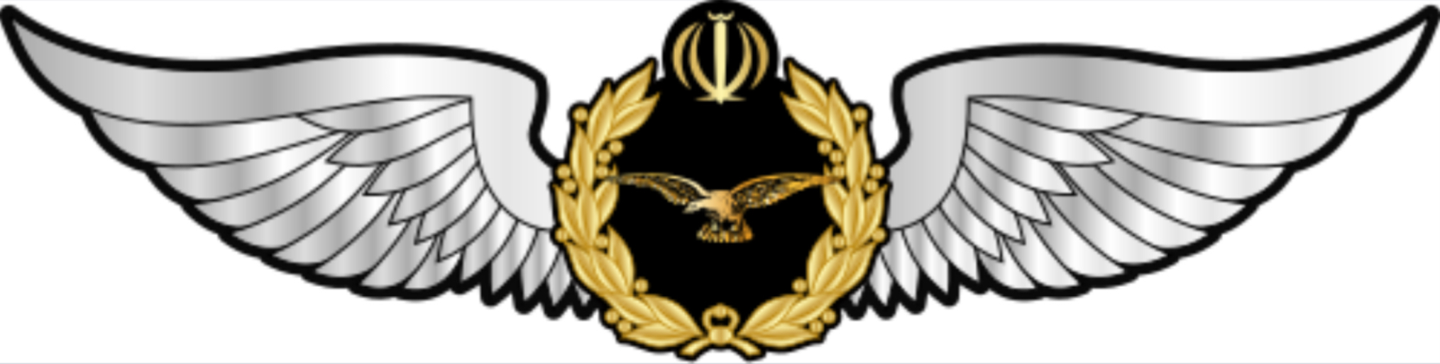 Iran Air Force Pilot