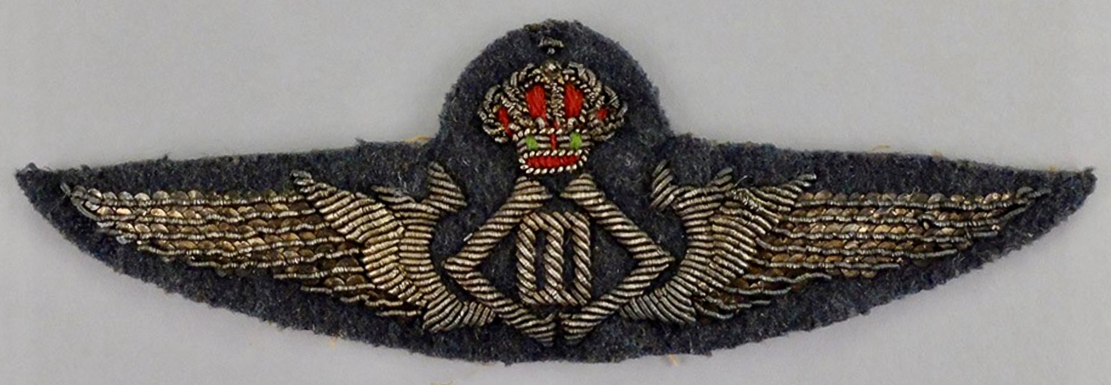 Belgium Air Force Pilot