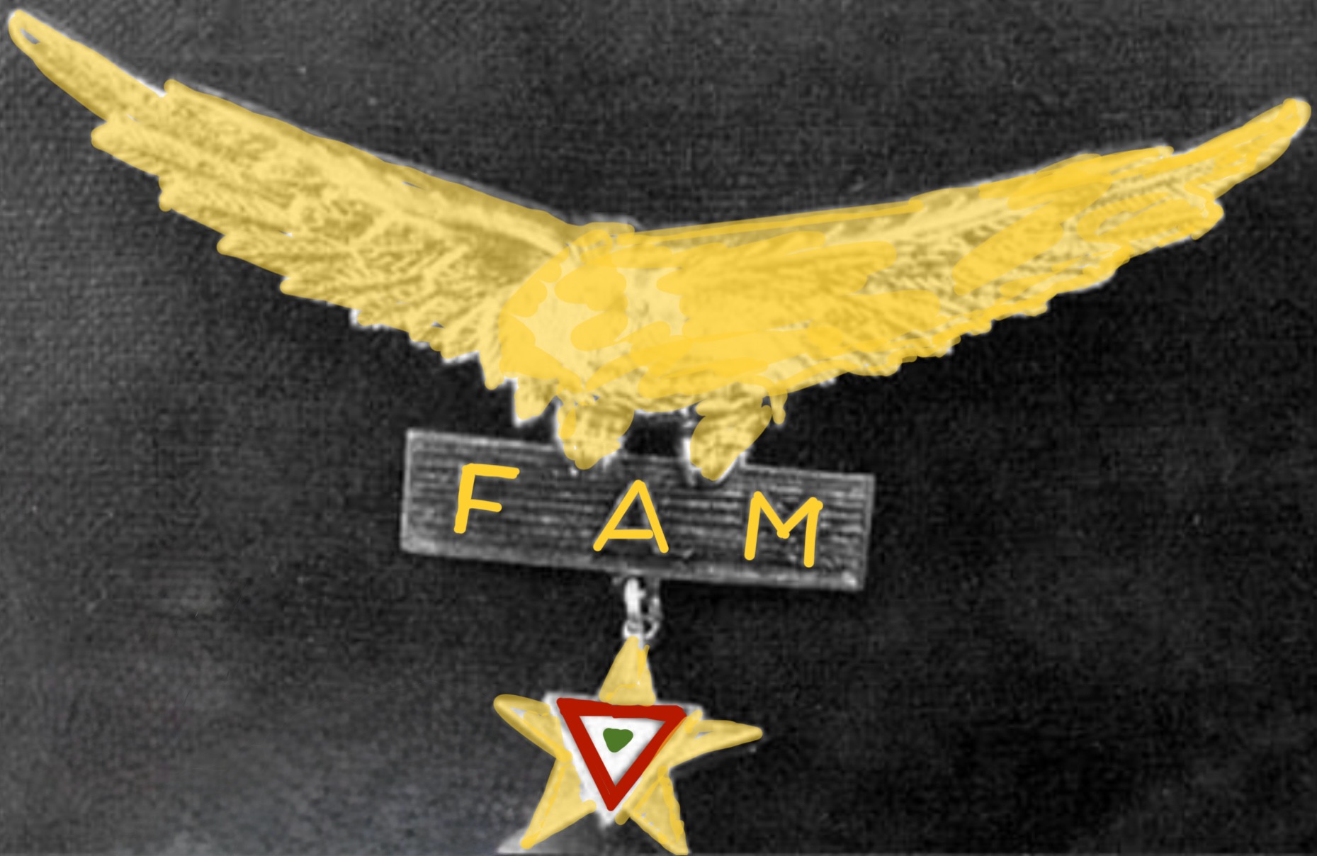 Mexico Air Force (FAM) Senior Pilot