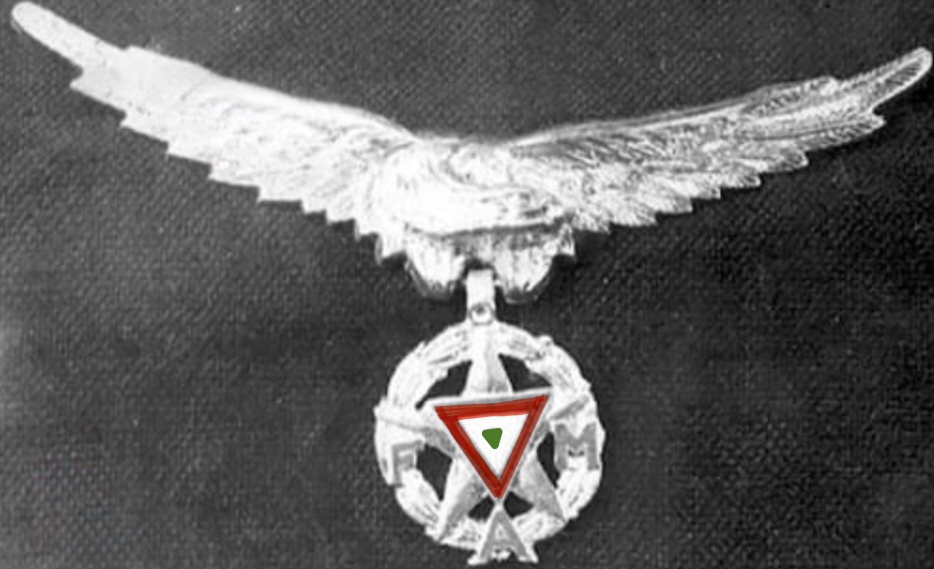 Mexico Air Force (FAM) Master Pilot
