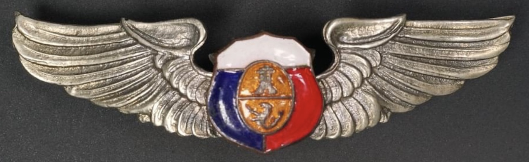 Philippines Army Air Corps (PAAC) Pilot