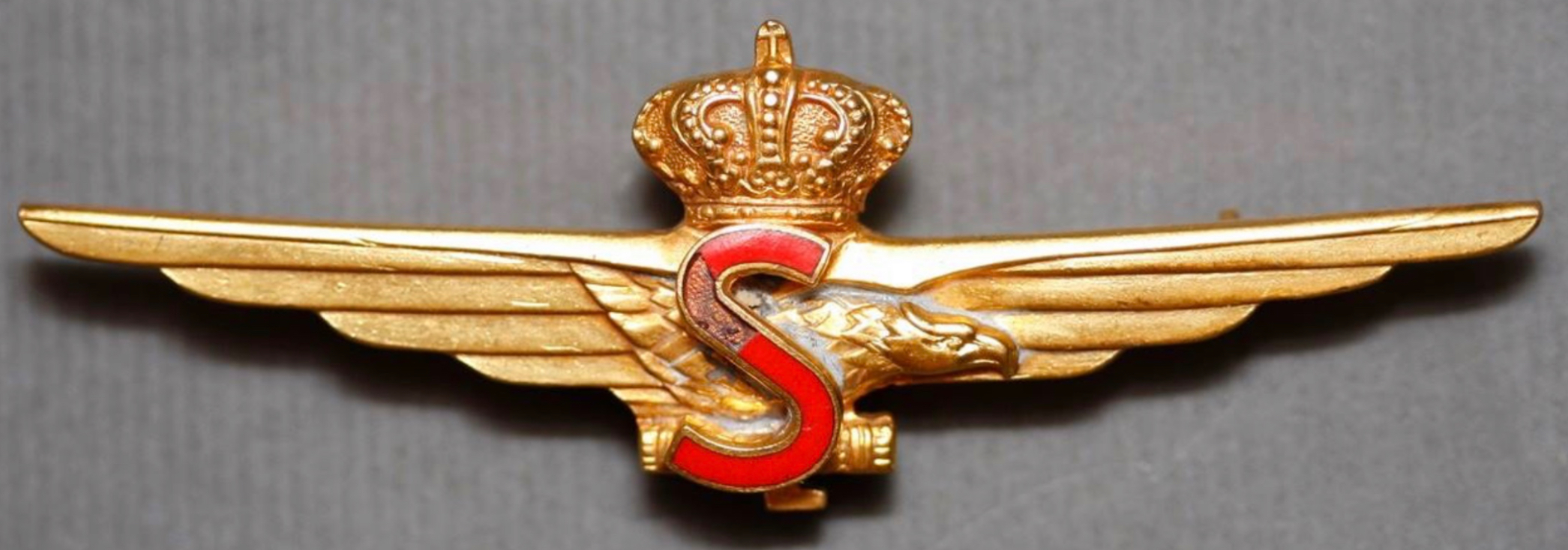 Image of Air Force S Pilot wing