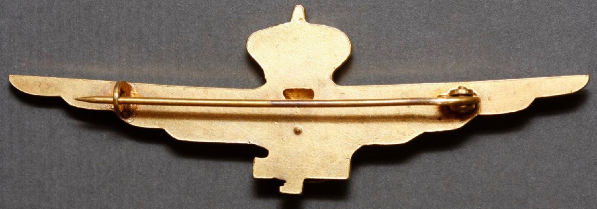 Image of Air Force S Pilot wing