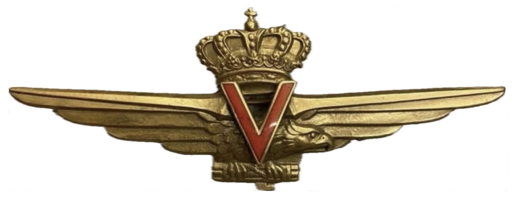 Italy Air Force V Pilot