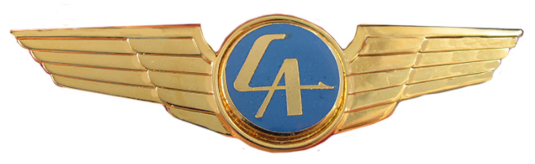 Charter Airlines Pilot
