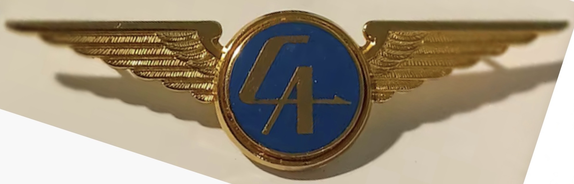 Charter Airlines Pilot