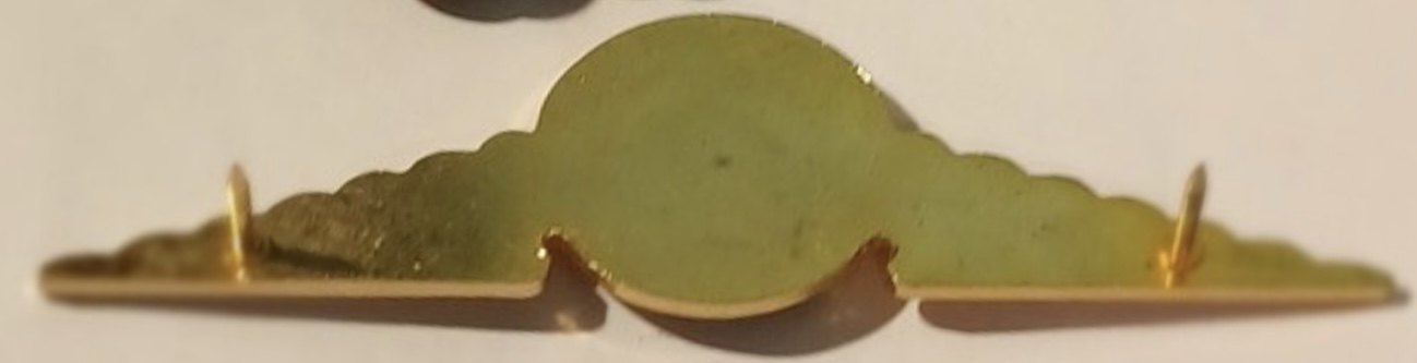 Image of Charter Airlines Pilot wing
