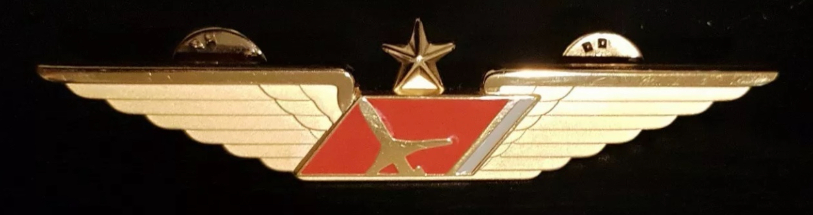 ExpressJet Airline First Officer
