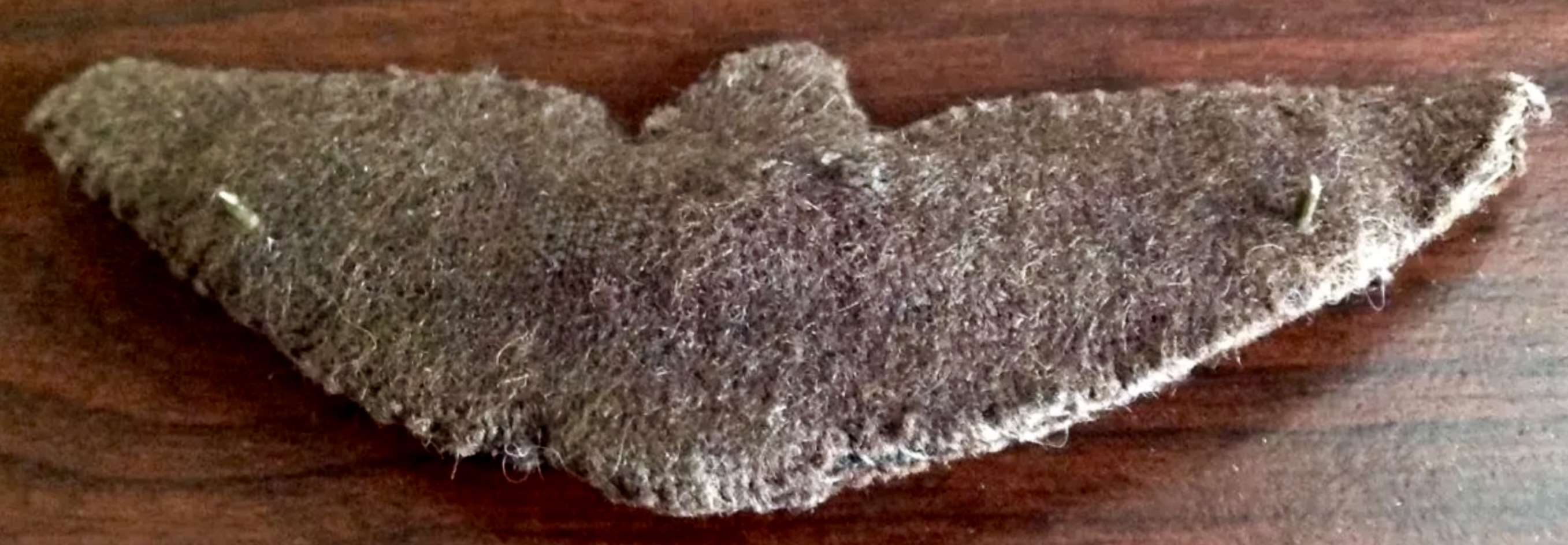 Image of Unknown - A Bird  wing