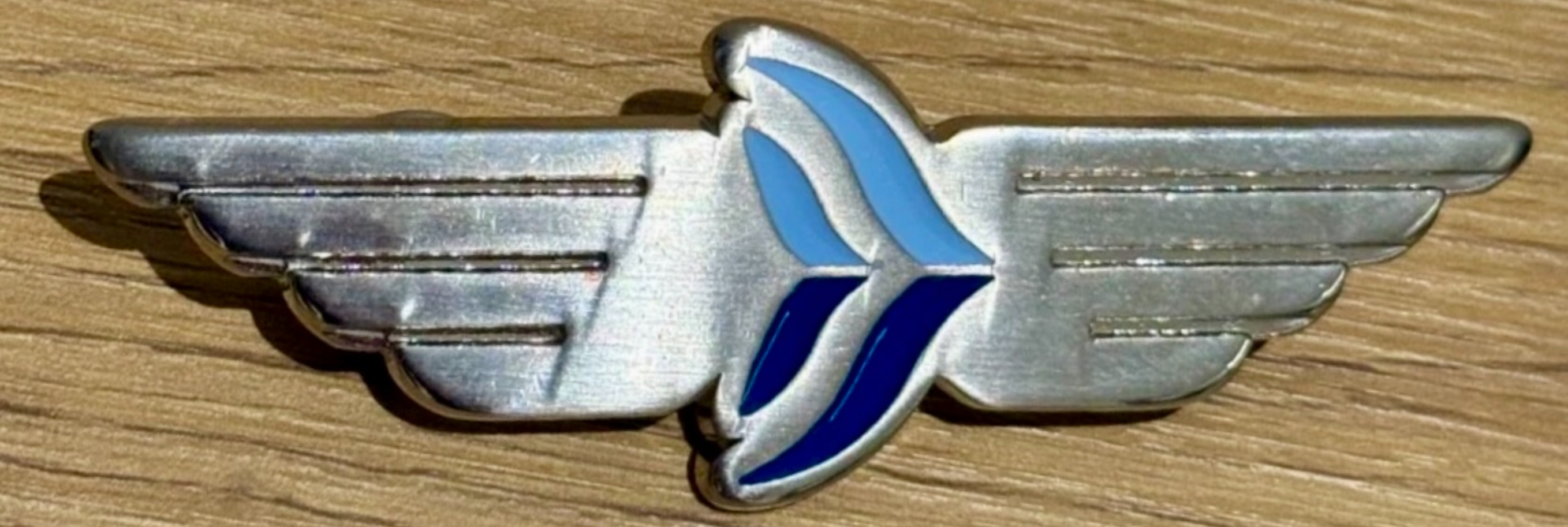 Aegean Airlines Pilot