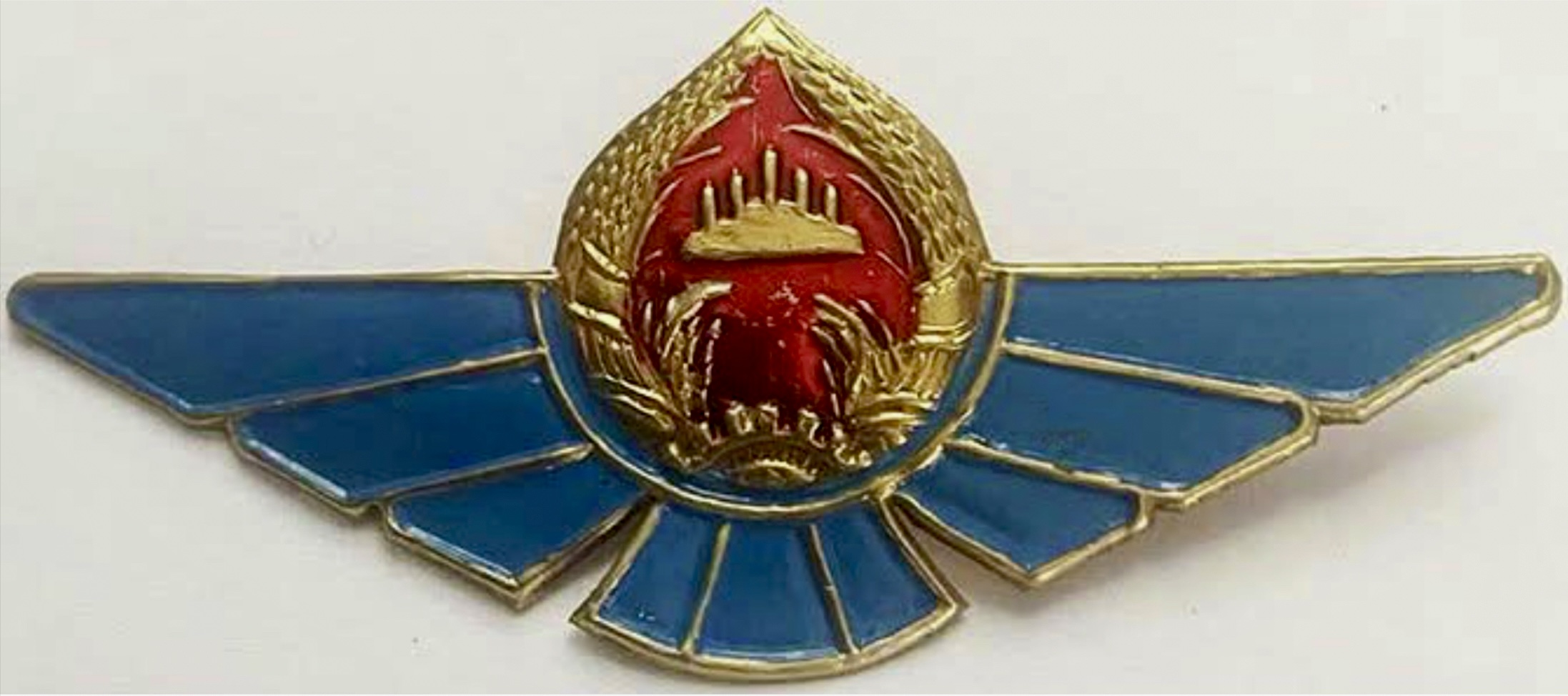 Cambodia Air Force Pilot