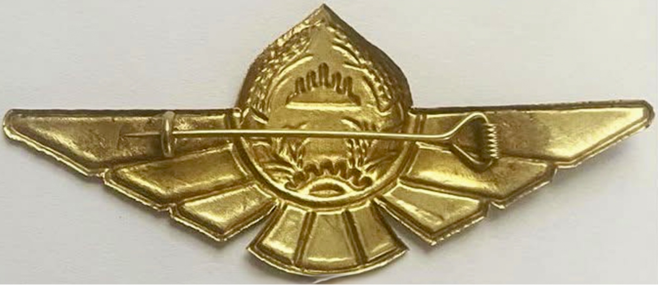 Image of Air Force Pilot wing