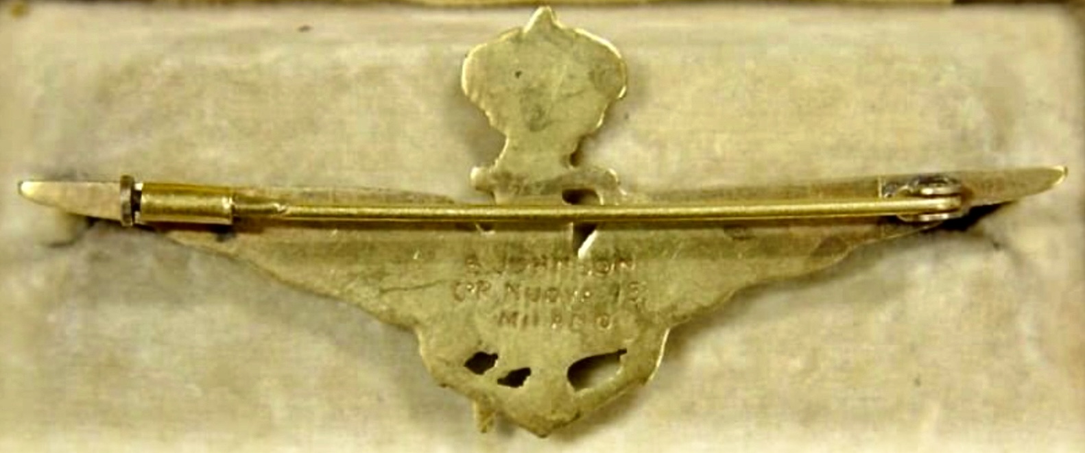 Image of Navy Pilot wing