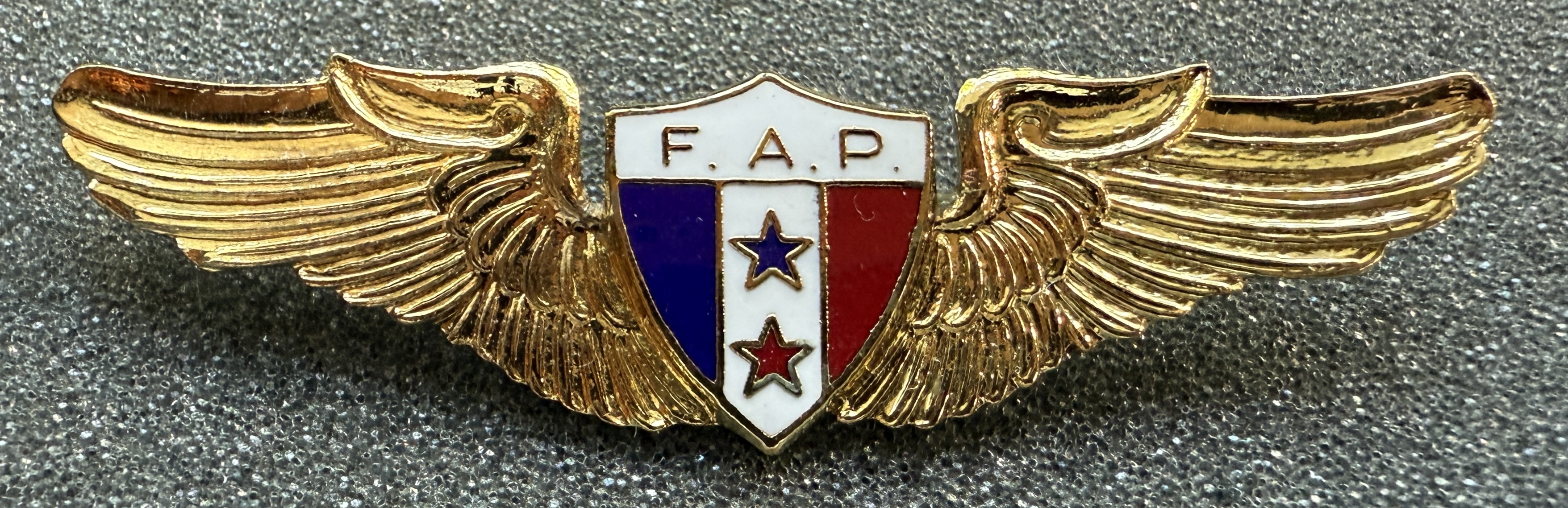 Panama Air Force (FAP) Pilot