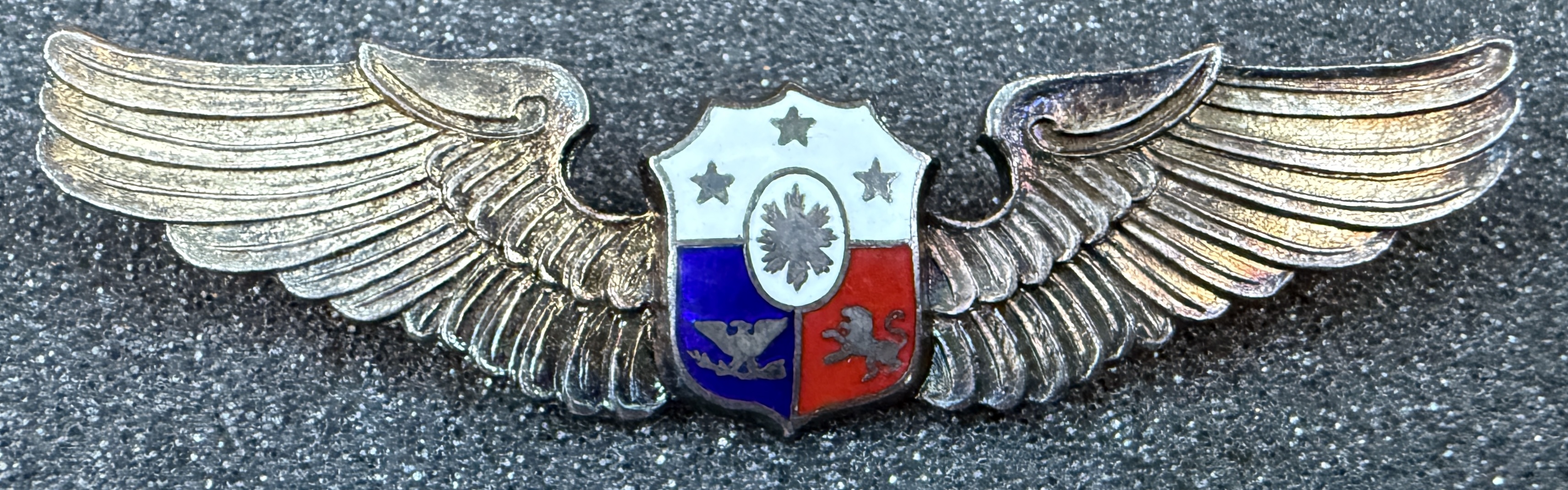 Philippines Air Force Pilot