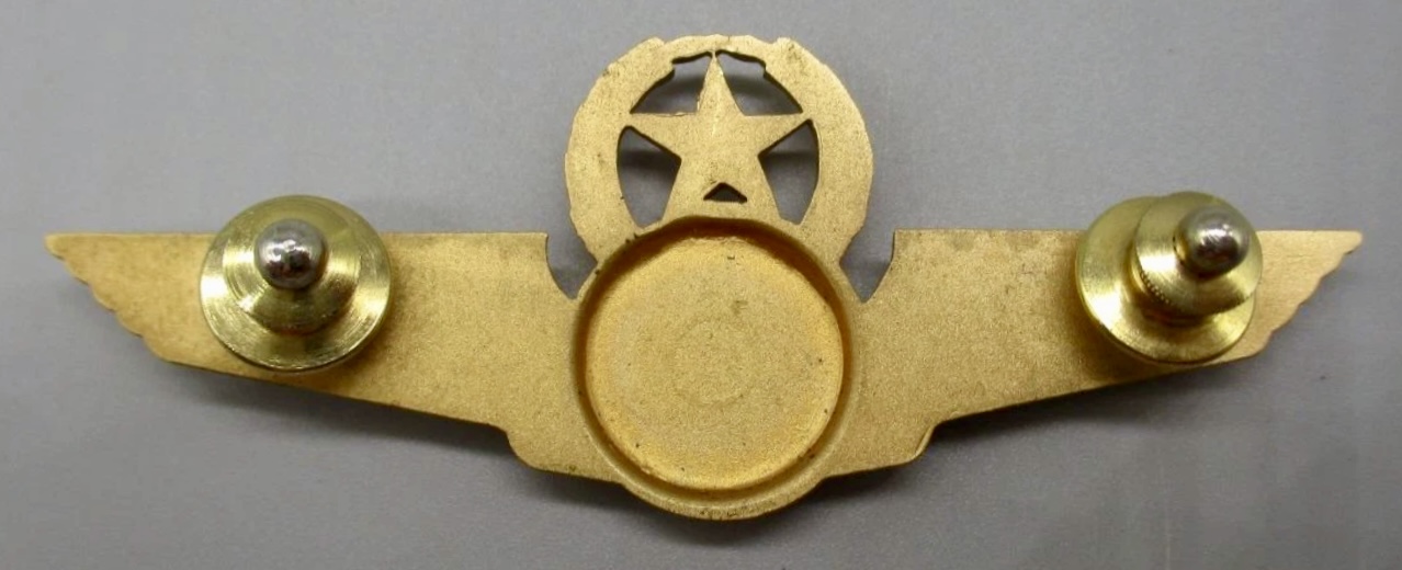 Image of Spirit Airlines Captain wing