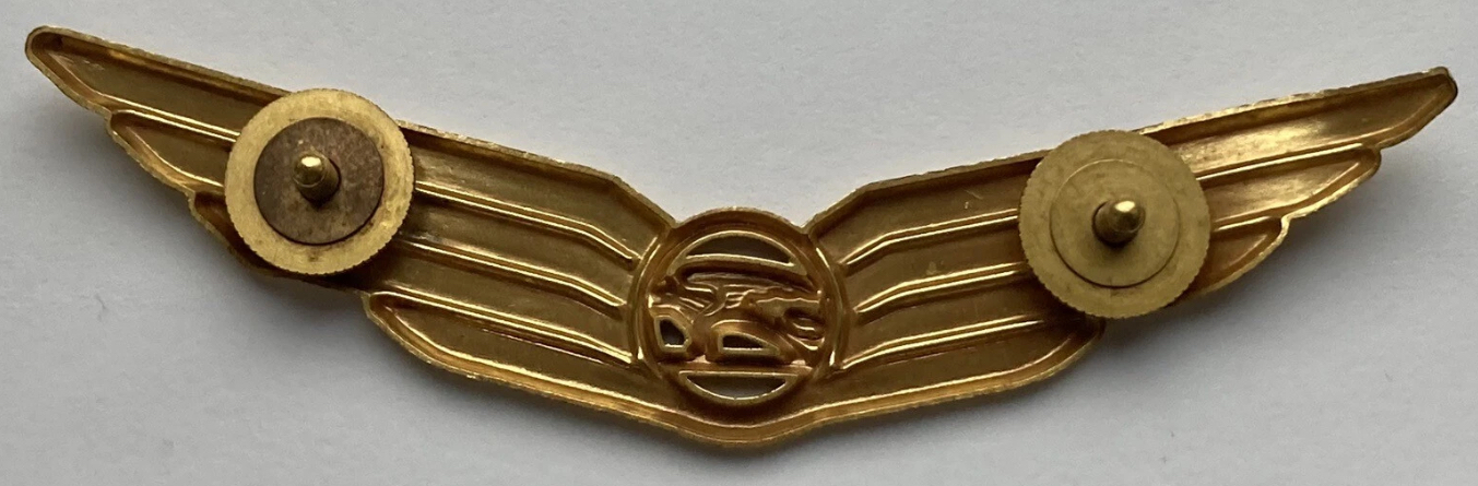 Image of Bavaria Fluggesellschaft Pilot wing