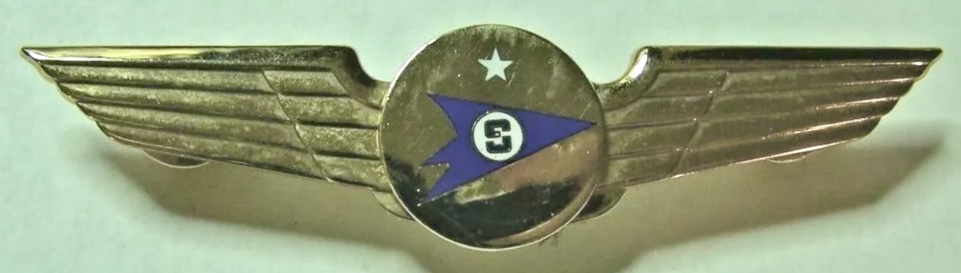 SAETA Air Ecuador Pilot