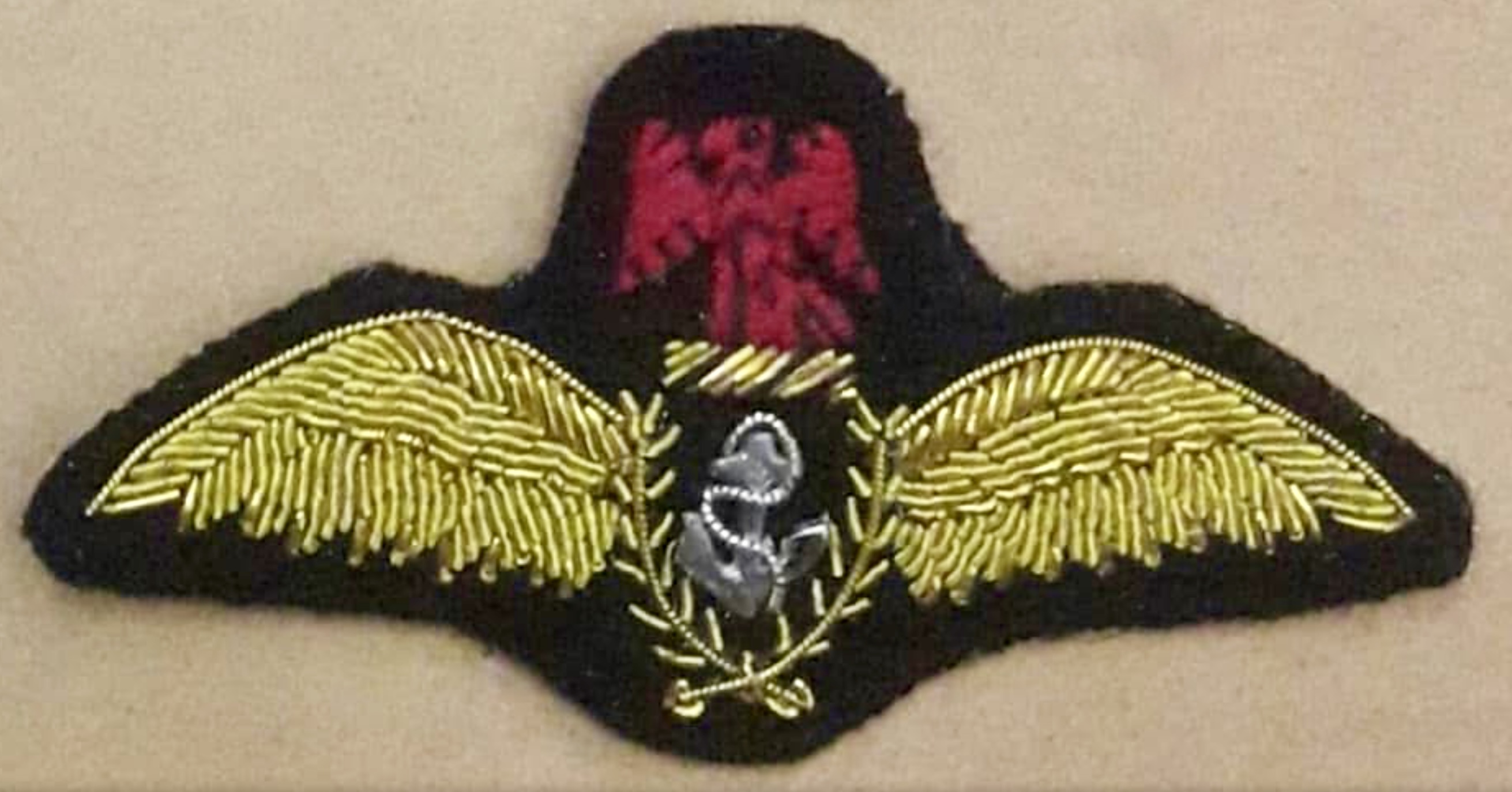 Nigeria Navy Pilot