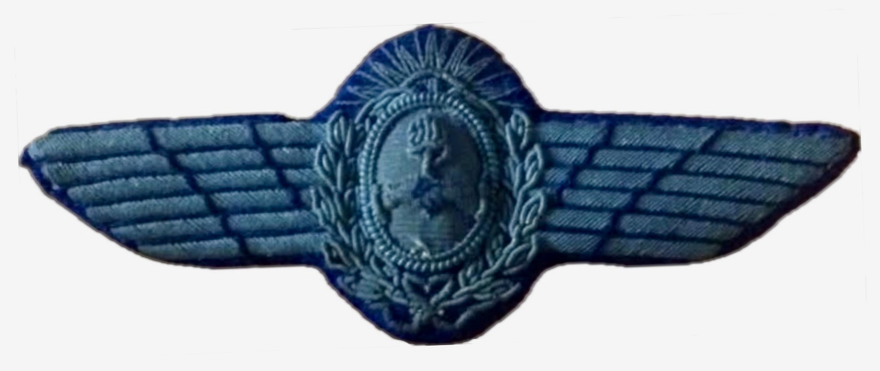 Argentina Army Aviation Aviator (Aviador Militar)
