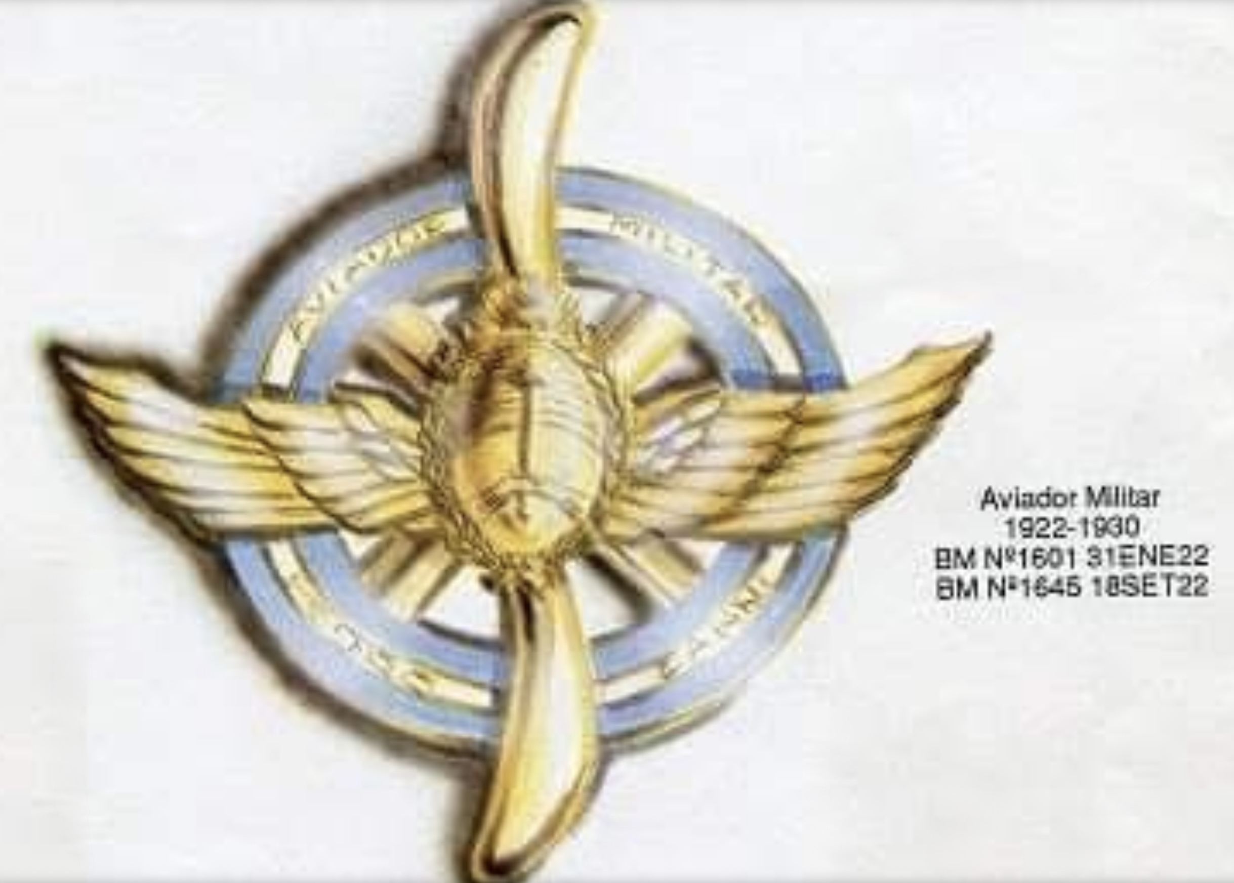 Image of Army Aviation Aviator (Aviador Militar) wing