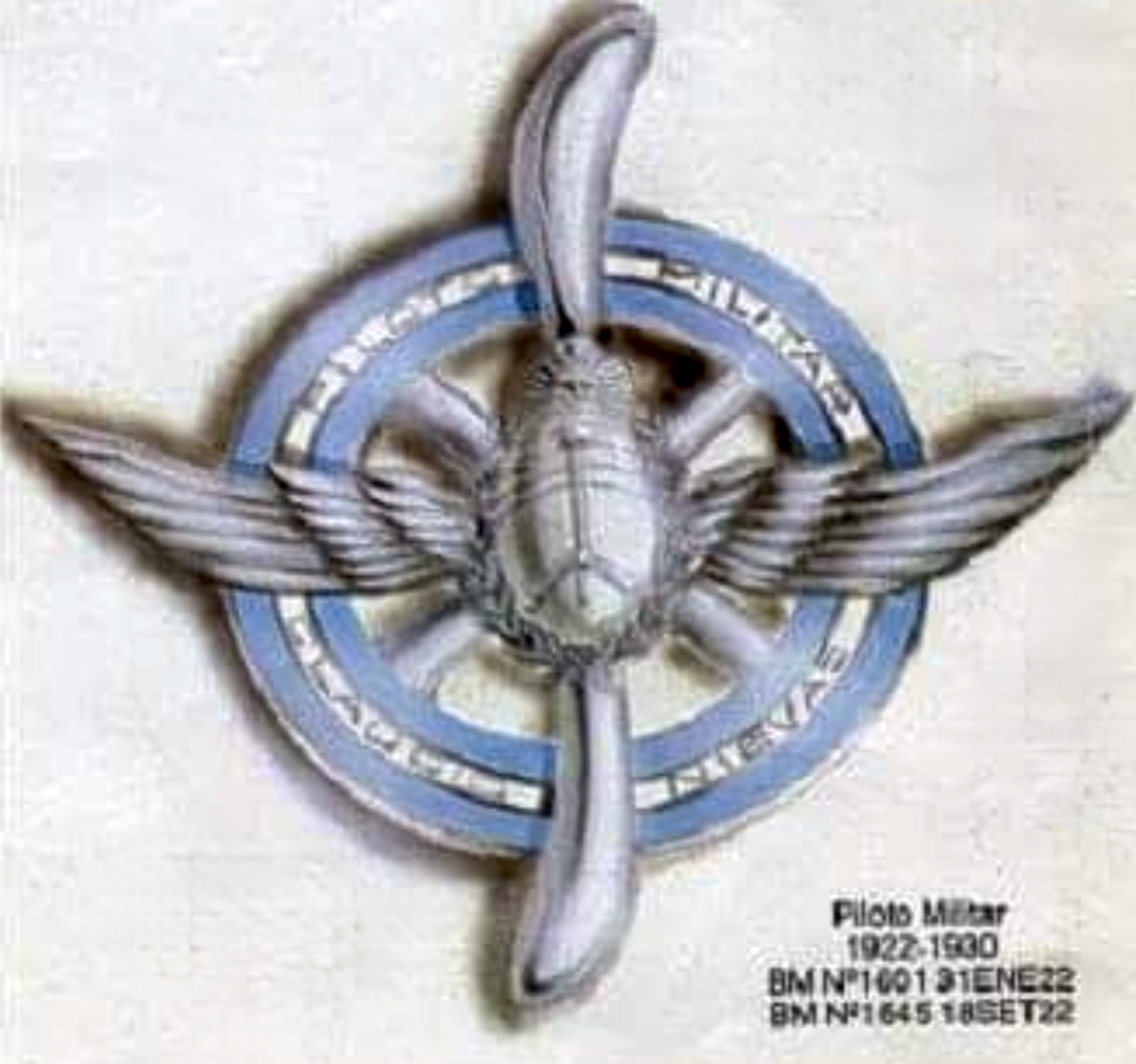 Image of Army Aviation Pilot (Piloto Militar) wing