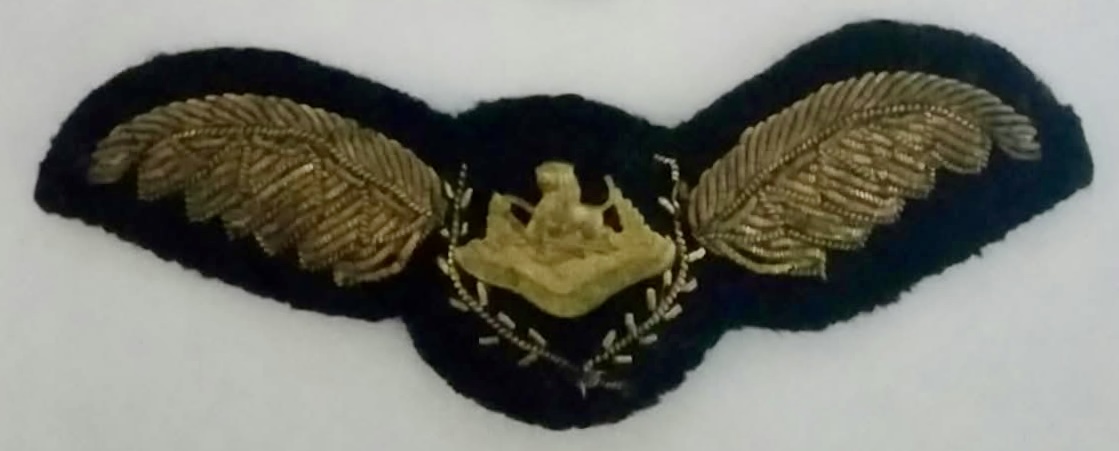 Rhodesia Air Force Pilot