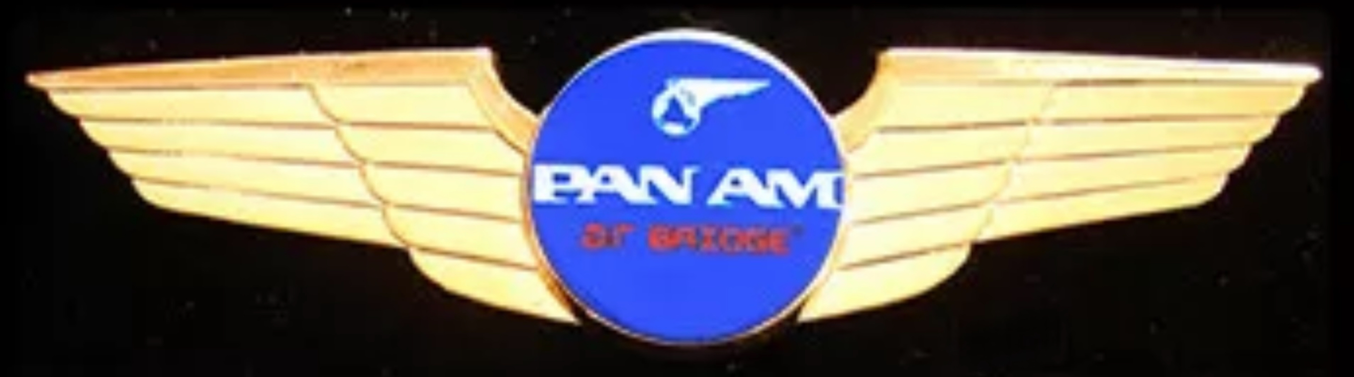 Pan Am Air Bridge Pilot