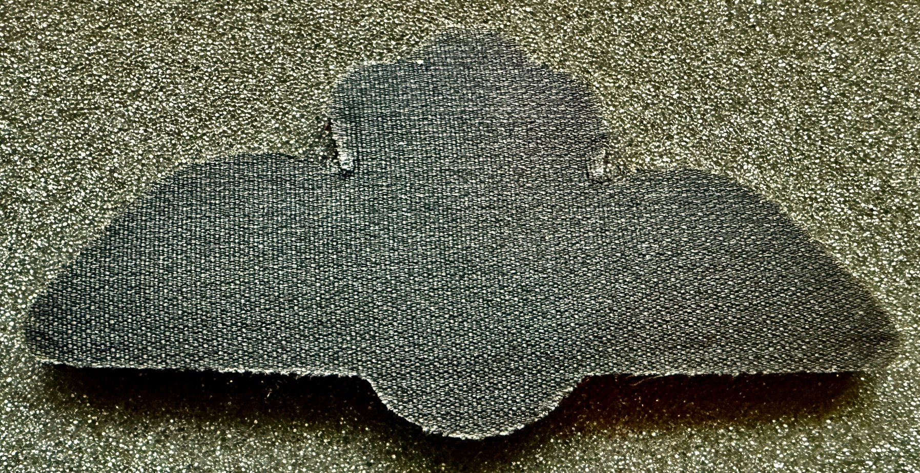 Image of Air Force Pilot wing