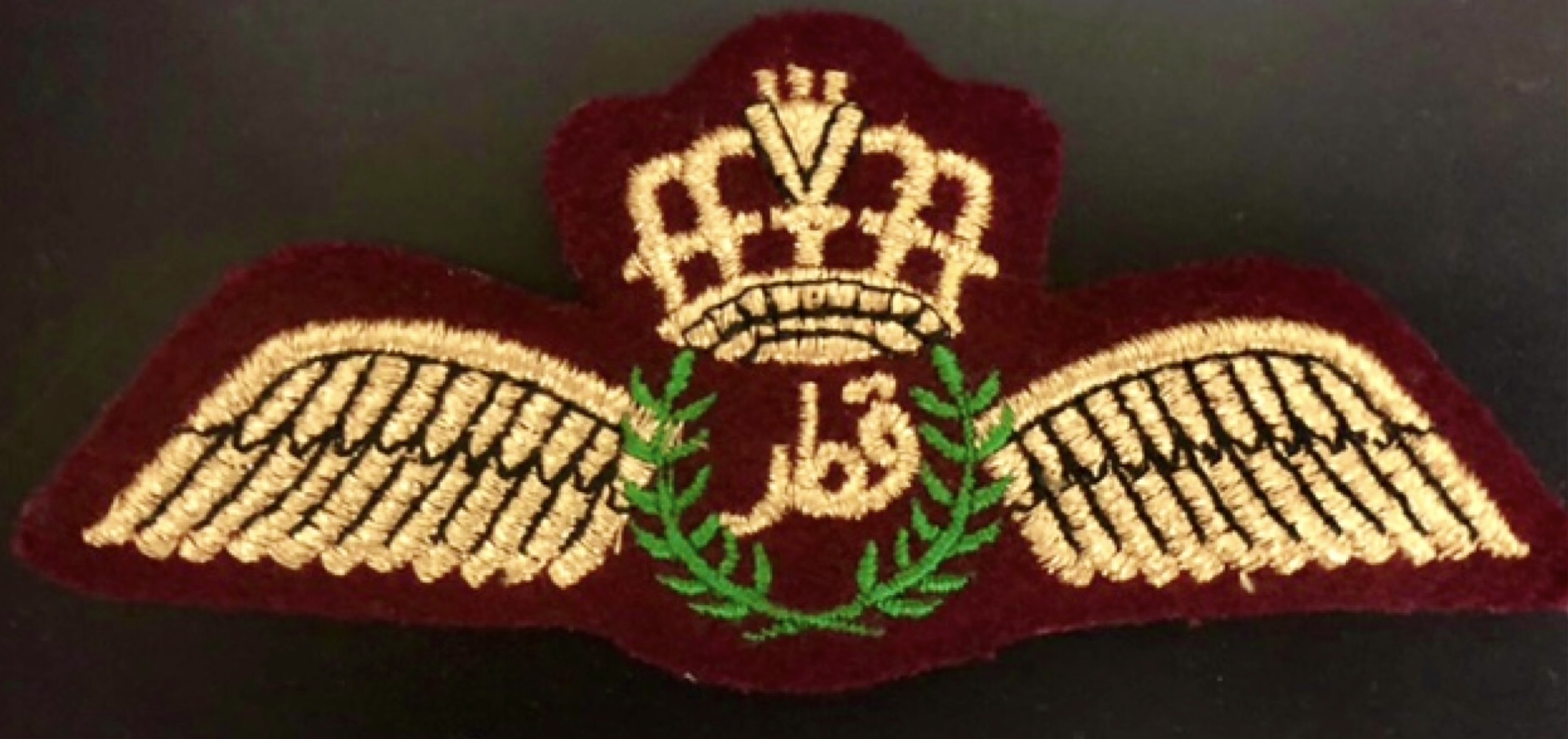 Image of Air Force Pilot wing