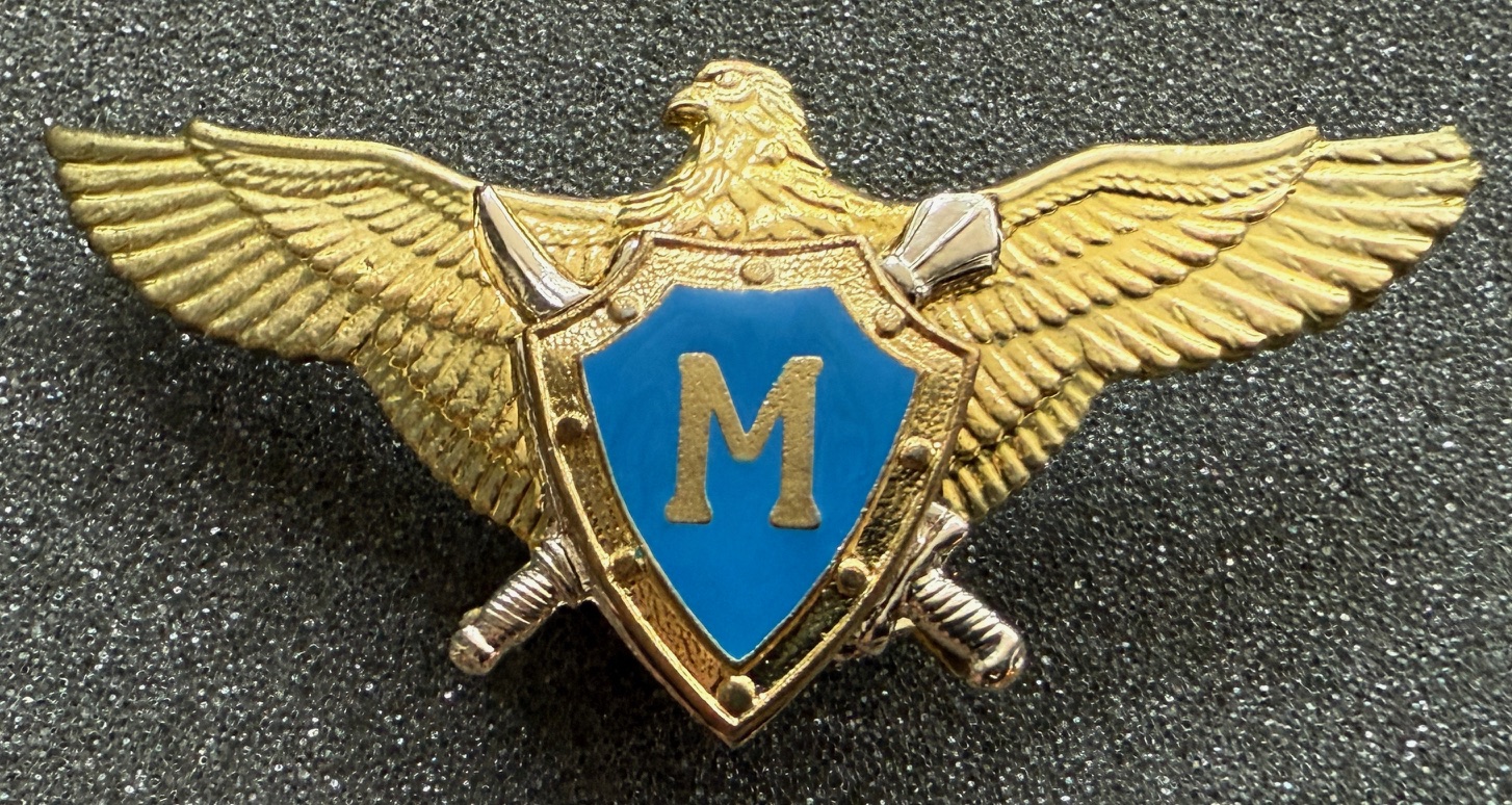 Ukraine Air Force Master Pilot