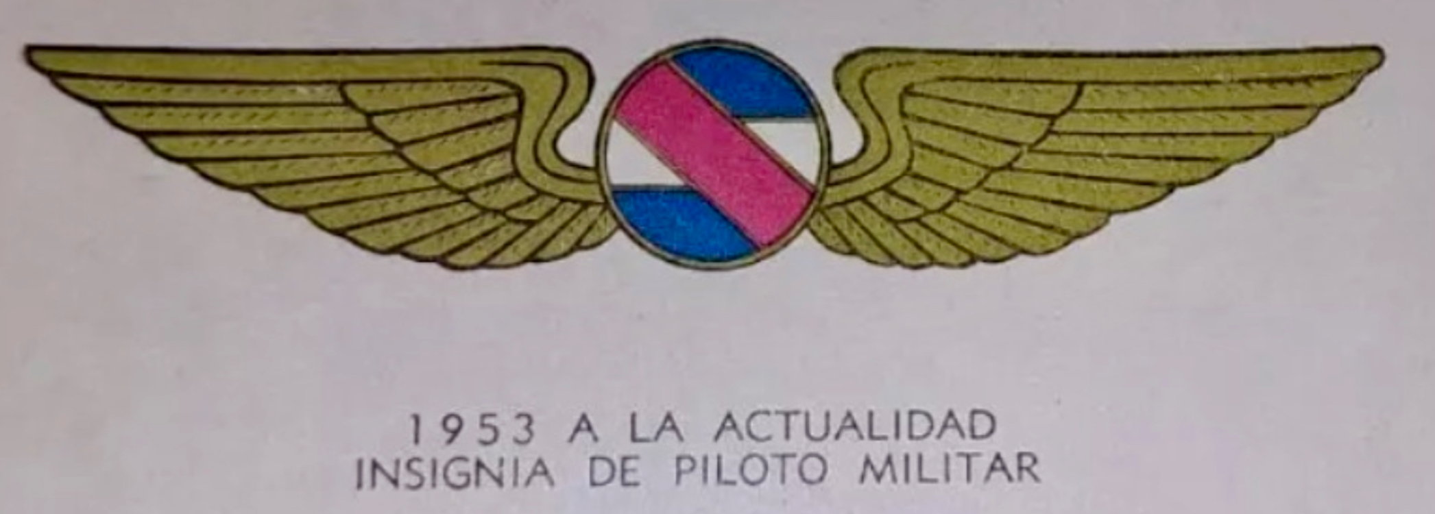 Uruguay Air Force Pilot