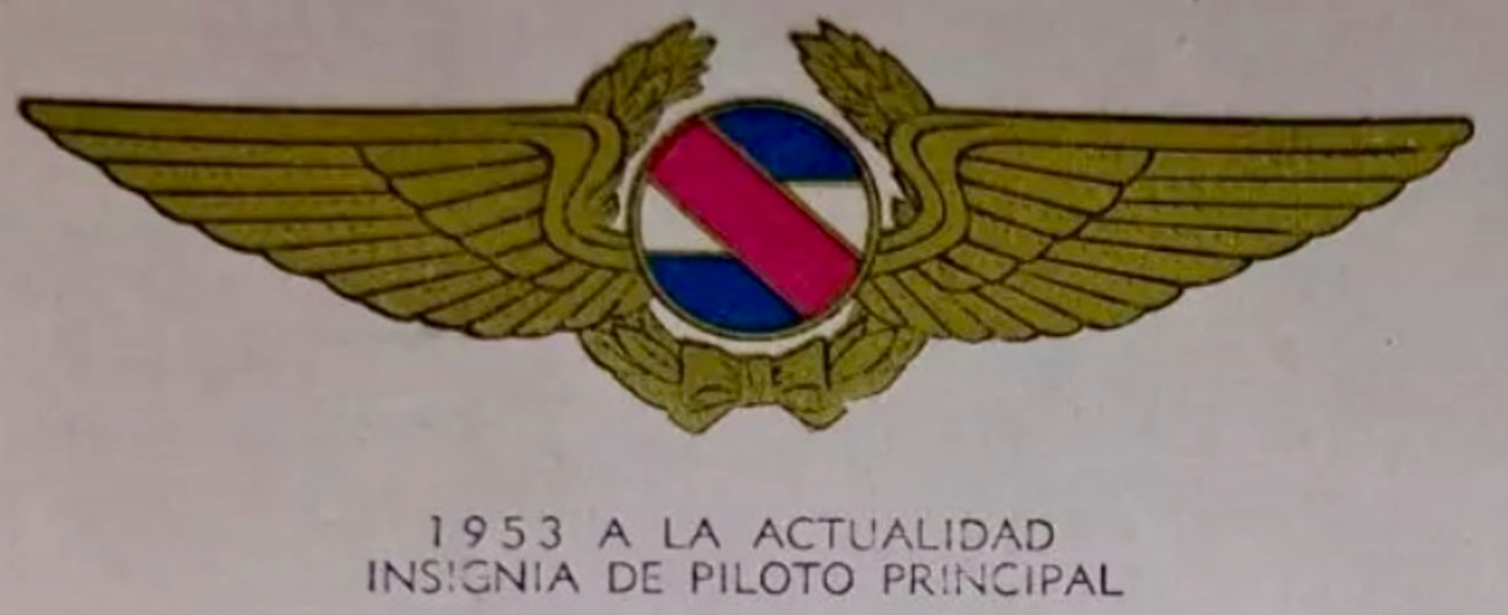 Uruguay Air Force Senior Pilot