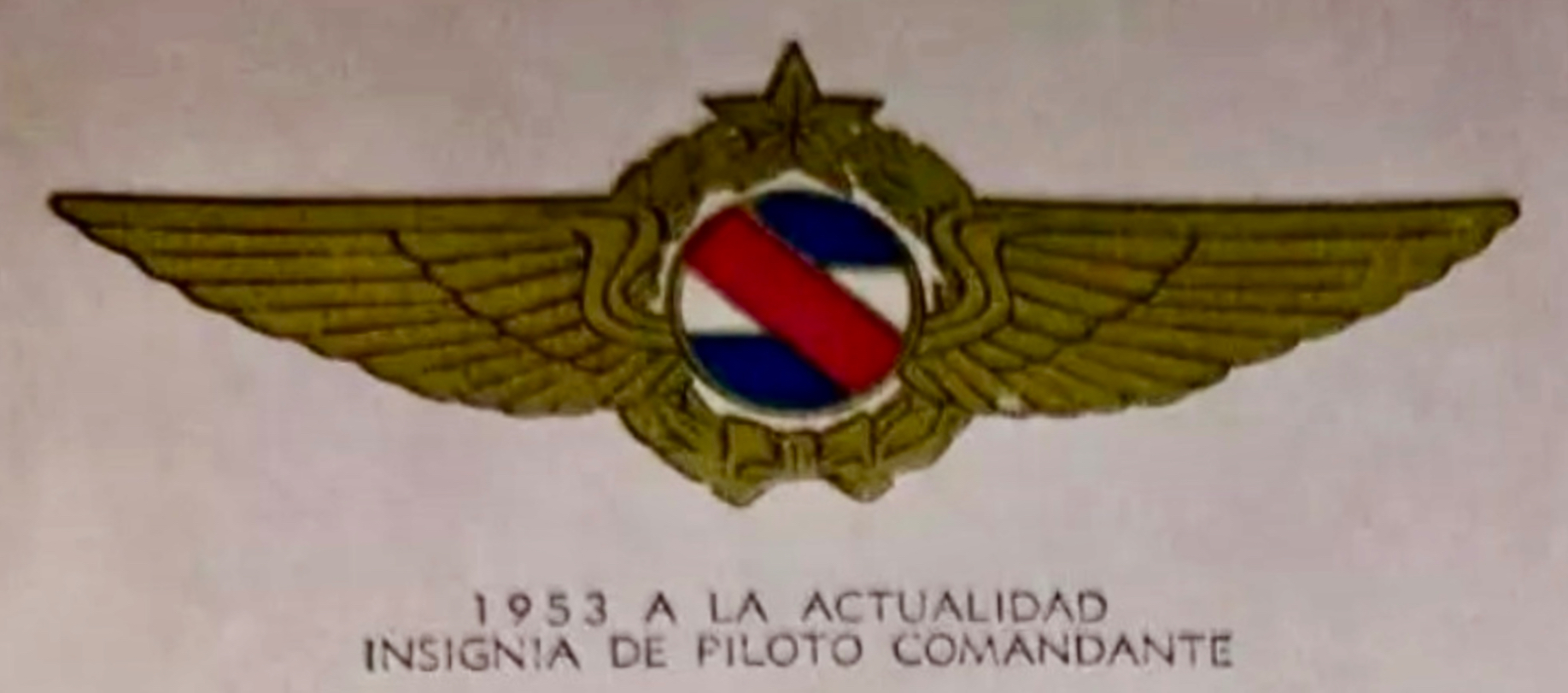 Image of Air Force Command Pilot wing