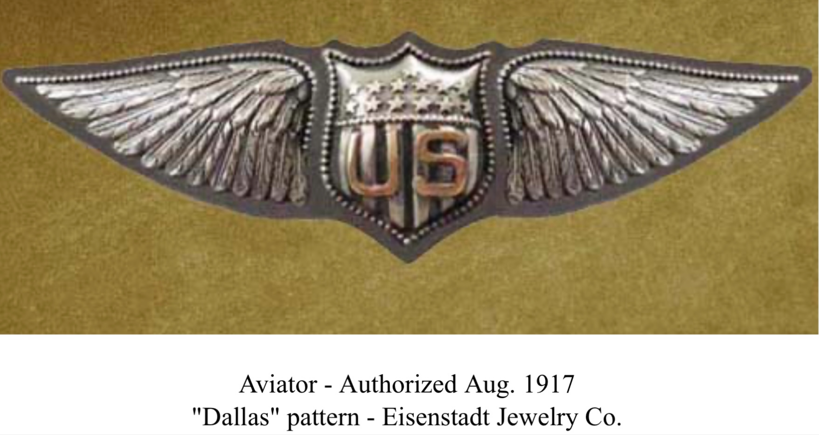 United States Army Air Corps Aviator
