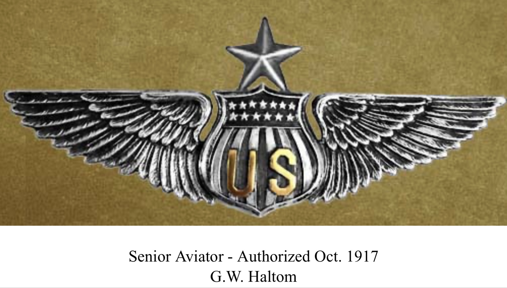 United States Army Air Corps Senior Aviator
