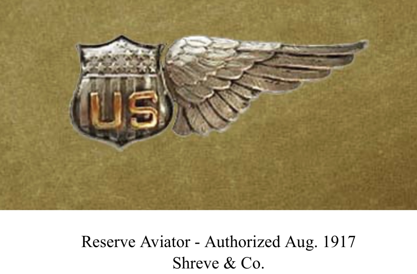 United States Army Air Corps Reserve Aviator
