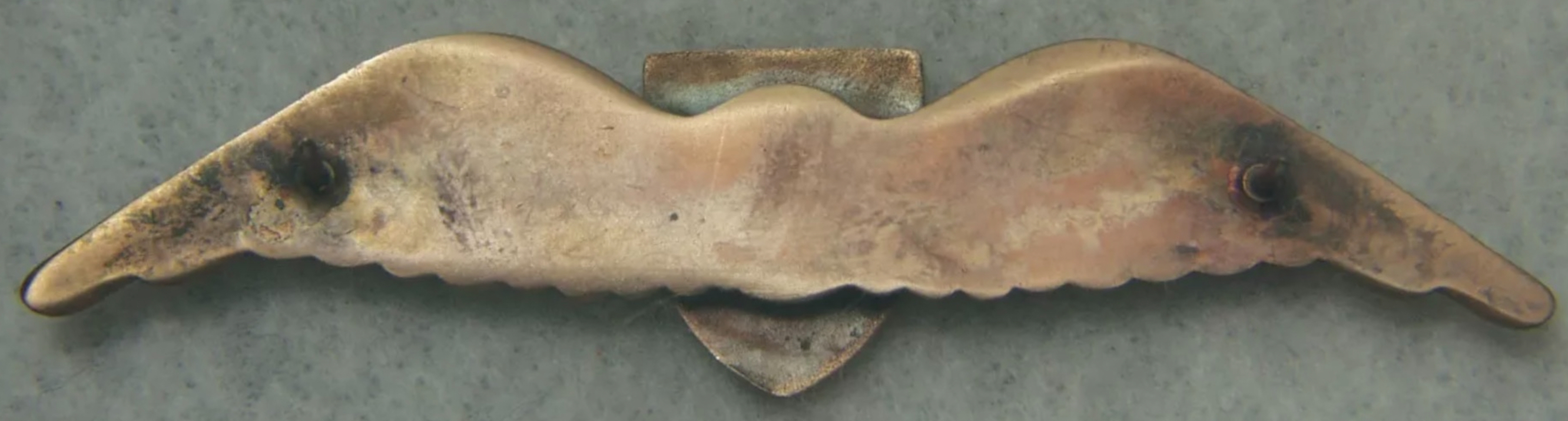 Image of Air Force Pilot wing