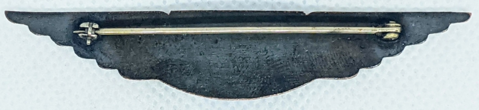 Image of Northwest Air Service (NAS) Seattle Pilot wing