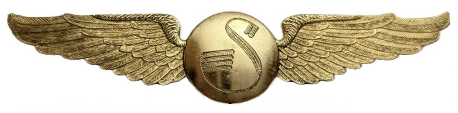 Shaw Aircraft Company Pilot