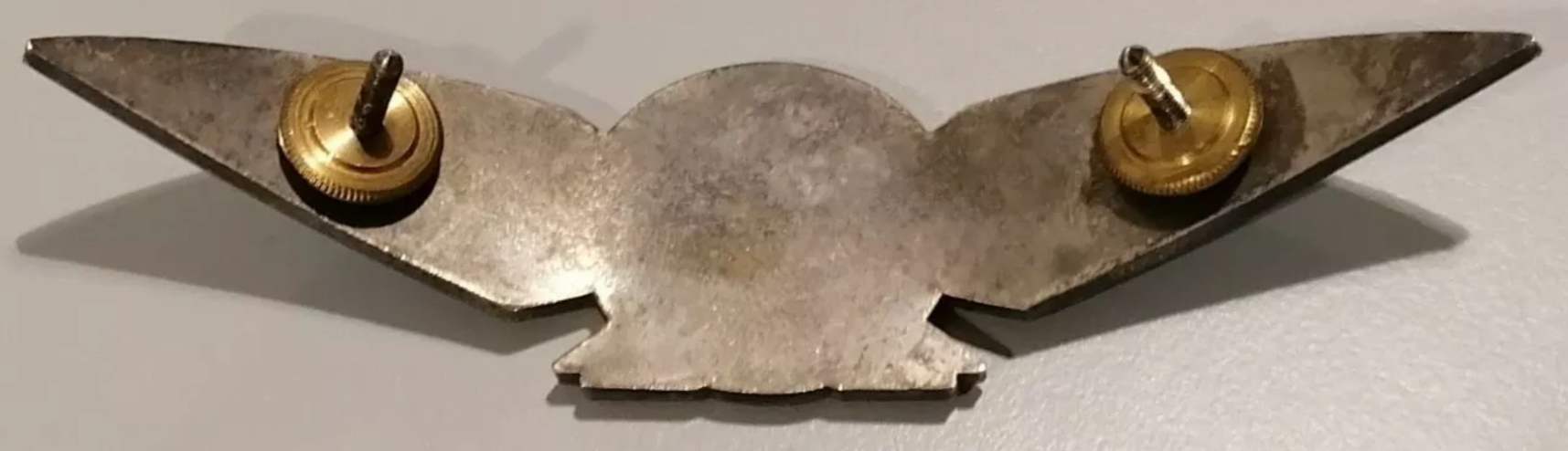 Image of Estonia Air Pilot wing