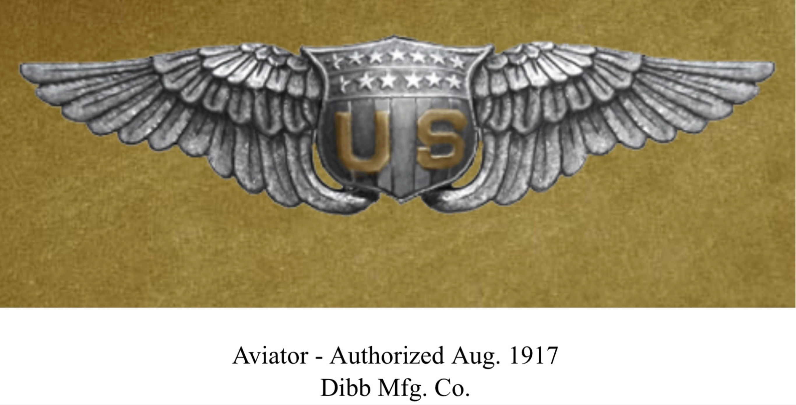 United States Army Air Corps Aviator