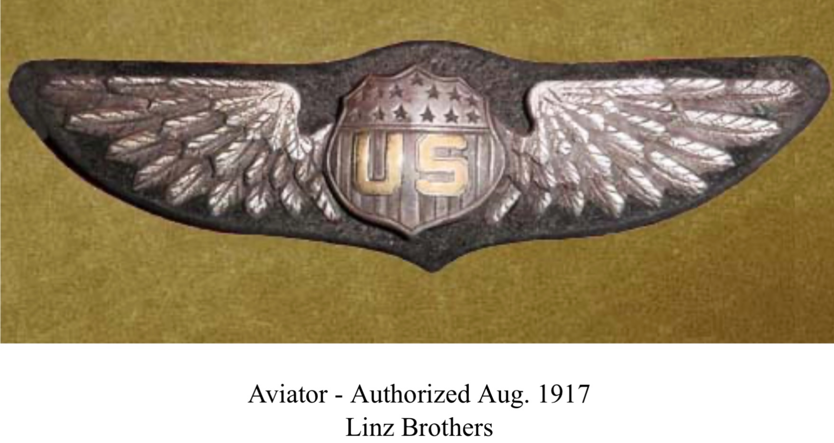 United States Army Air Corps Aviator