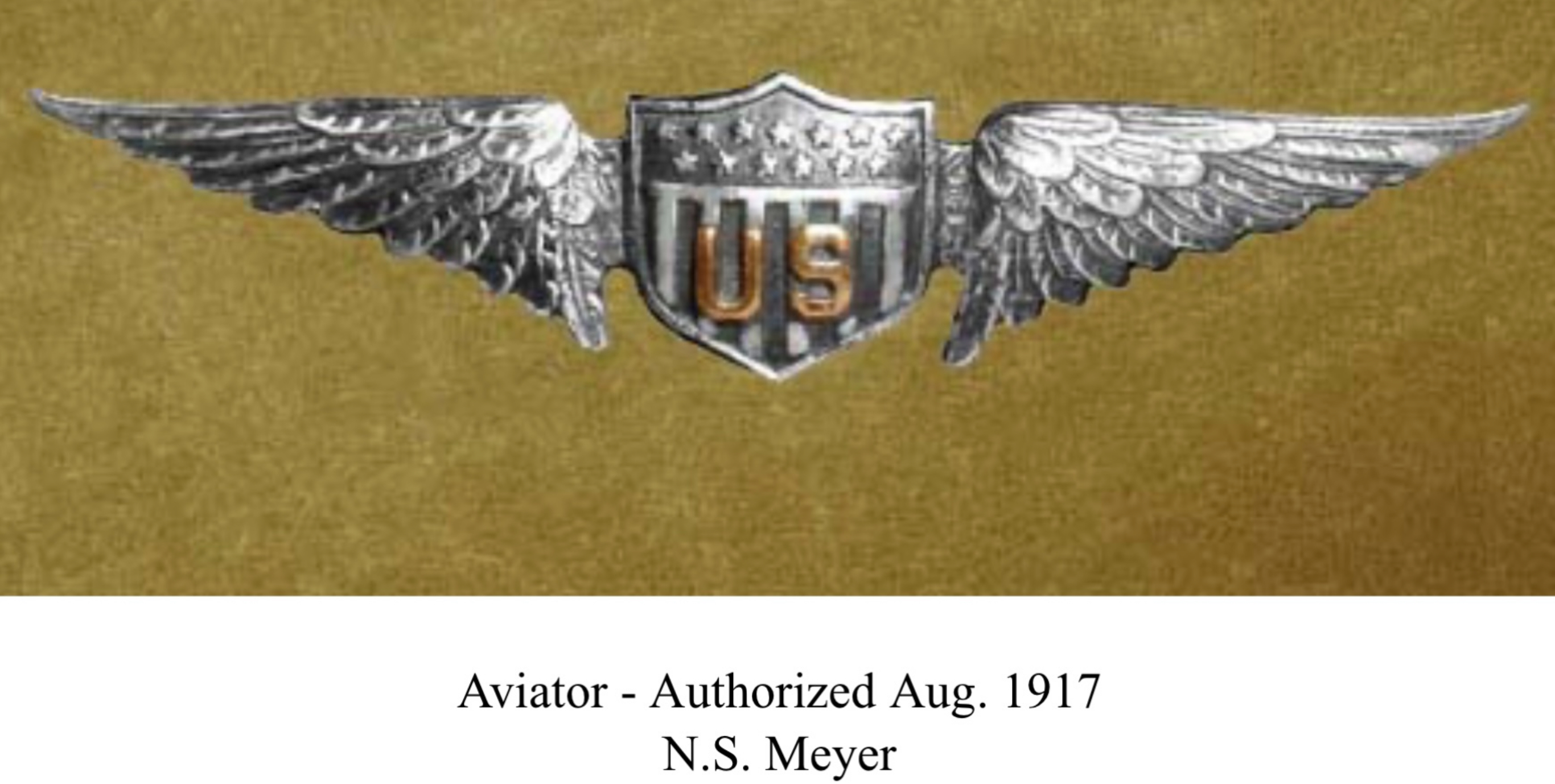 United States Army Air Corps Aviator