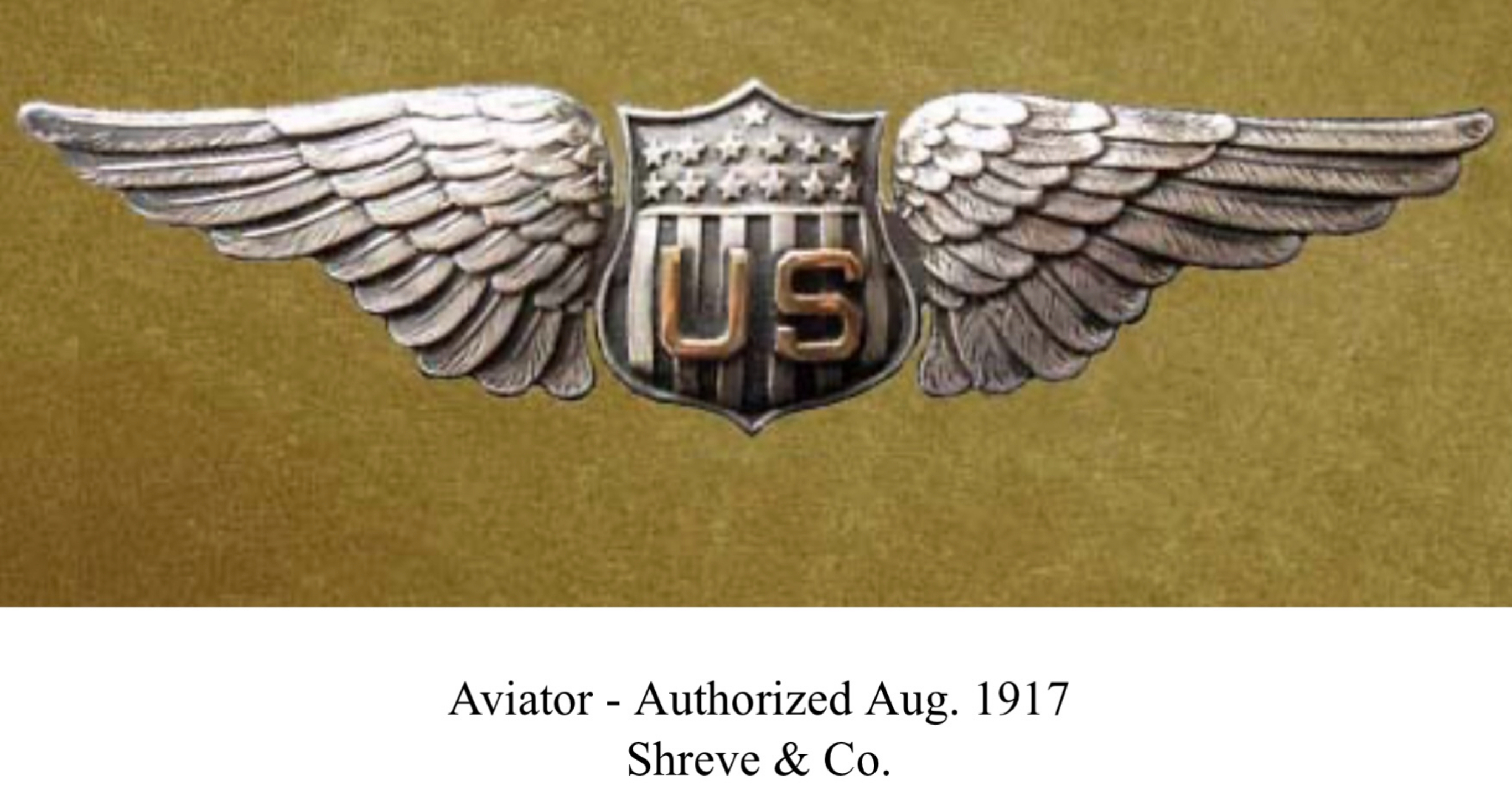United States Army Air Corps Aviator