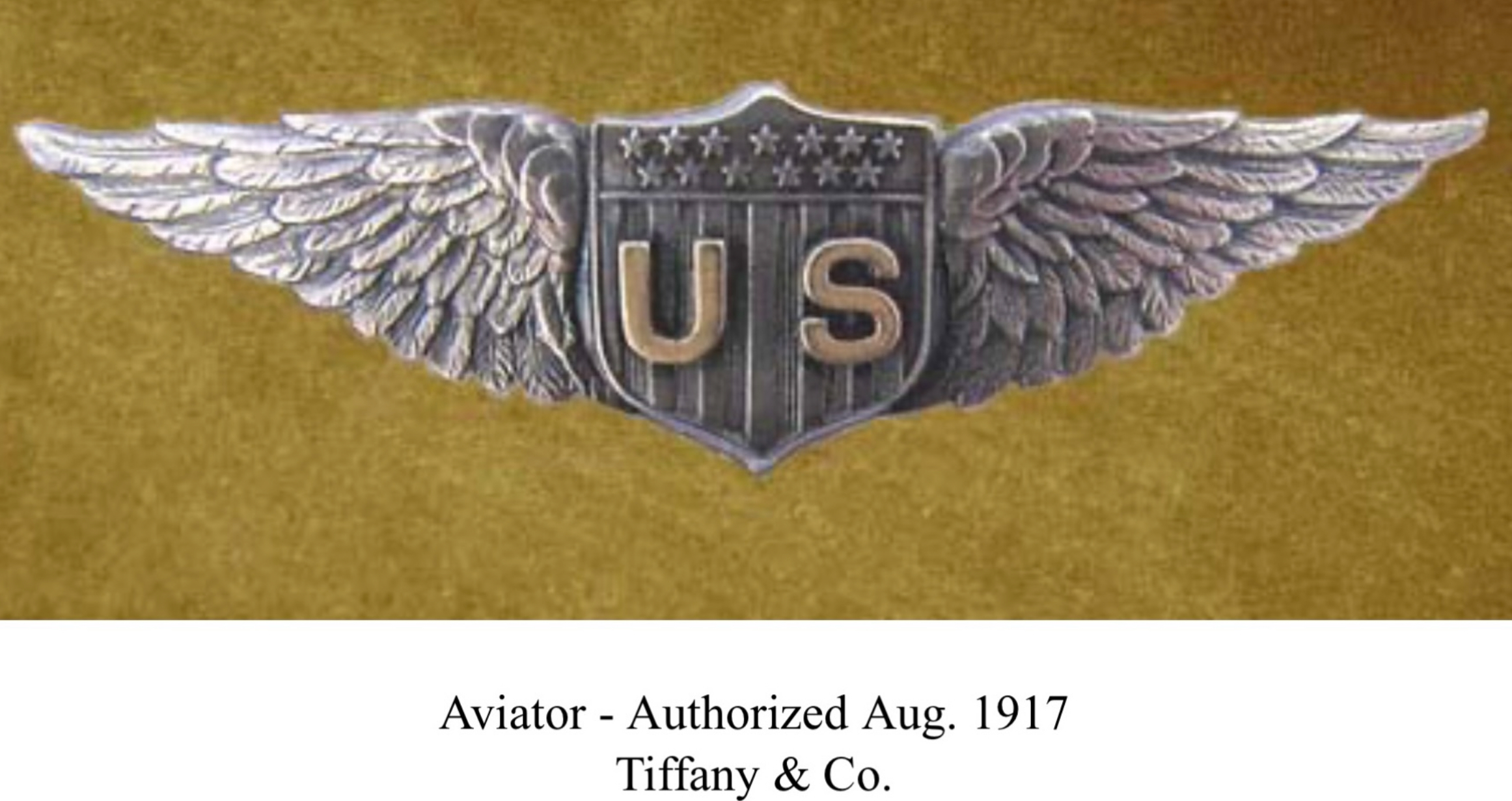 United States Army Air Corps Aviator